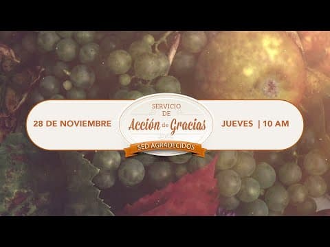 Próximos Eventos 11/24/2024
